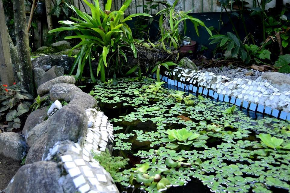Suites O Flautista Ubatuba Ngoại thất bức ảnh